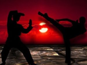 Lire la suite à propos de l’article Pourquoi faire du Jiu-Jitsu ?